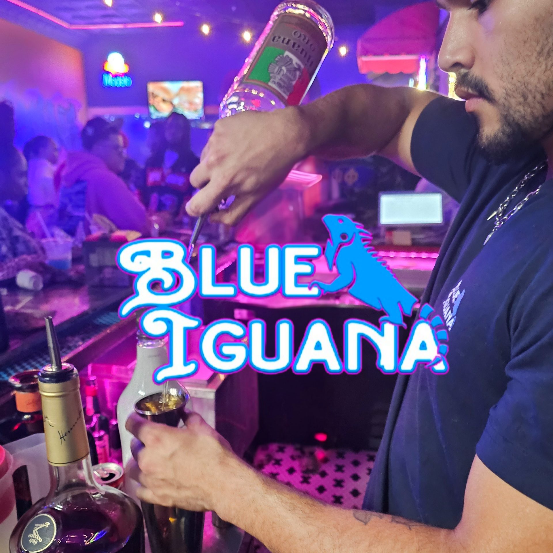 Welcome To Blue Iguana - Ruston
