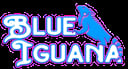 Blue Iguana